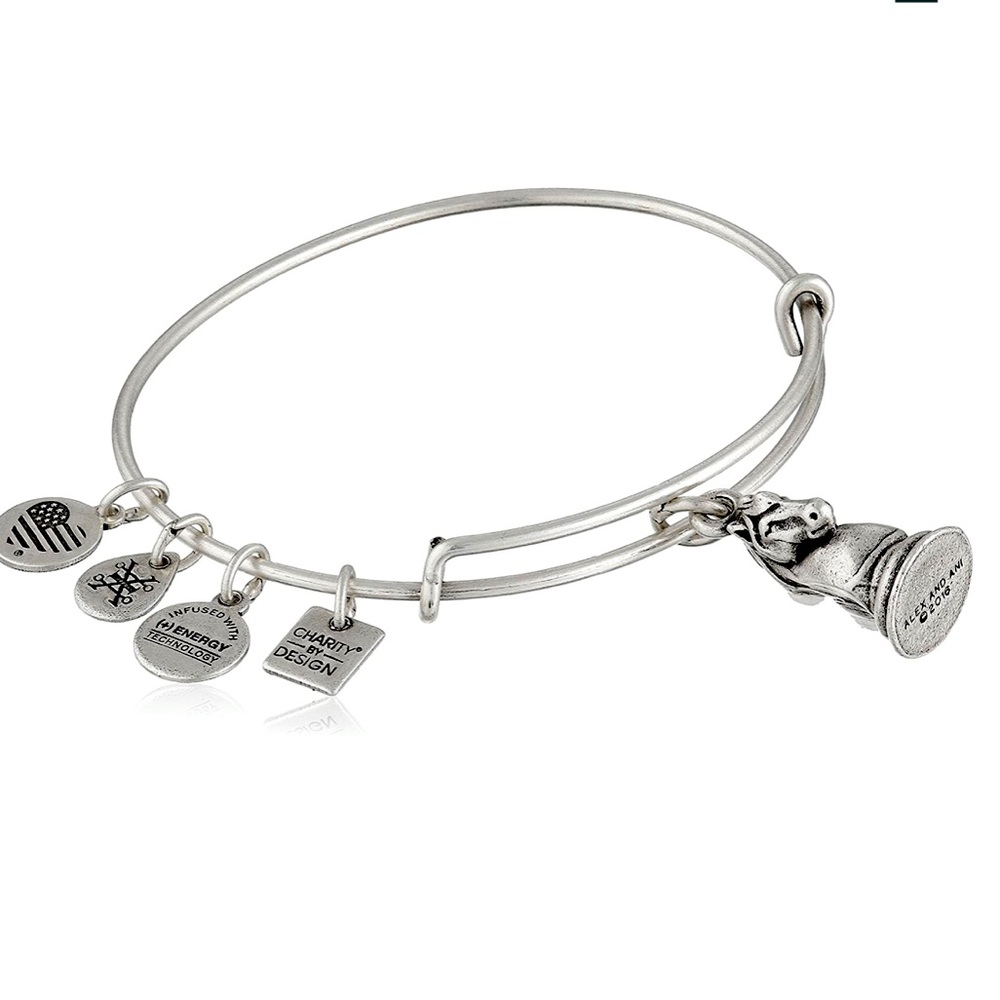 Alex and Ani 1916 Knights Bangle
